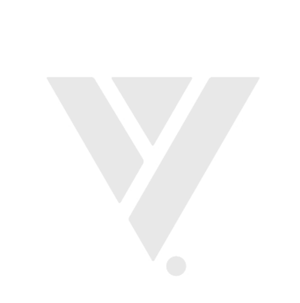 Veltriq Holding logo